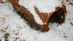 Zimowa sesja fotograficzna, 2012.